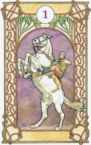 Rider