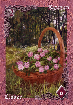 Clover