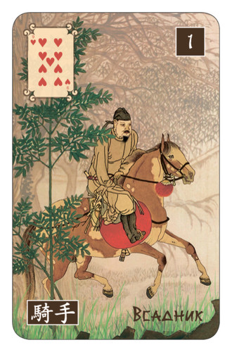 Rider