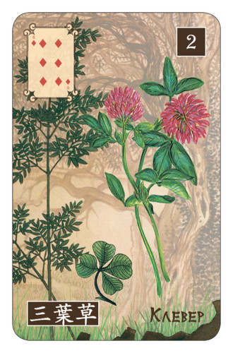 Clover