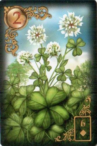 Clover